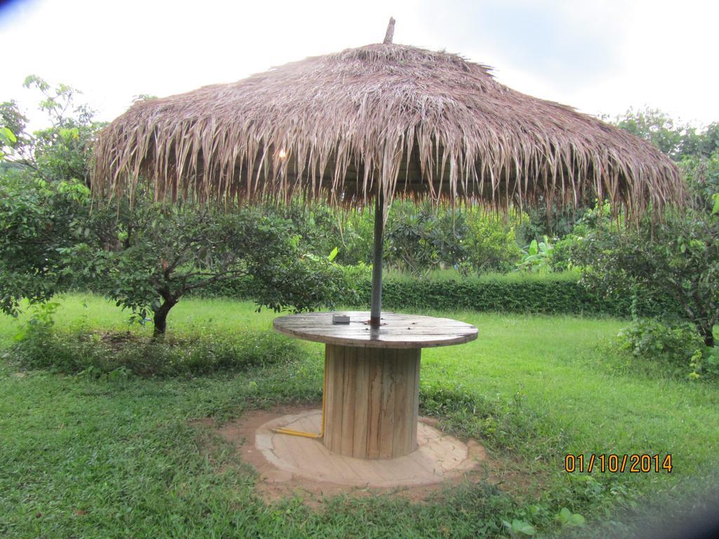 Orange Grove Resort Pai Exteriér fotografie
